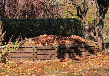 COMPOST 1